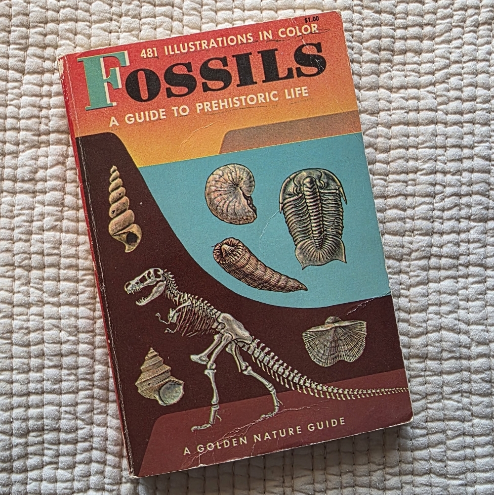 Vintage Book| Golden Nature Guide| Fossils A Guide to Prehistoric Life